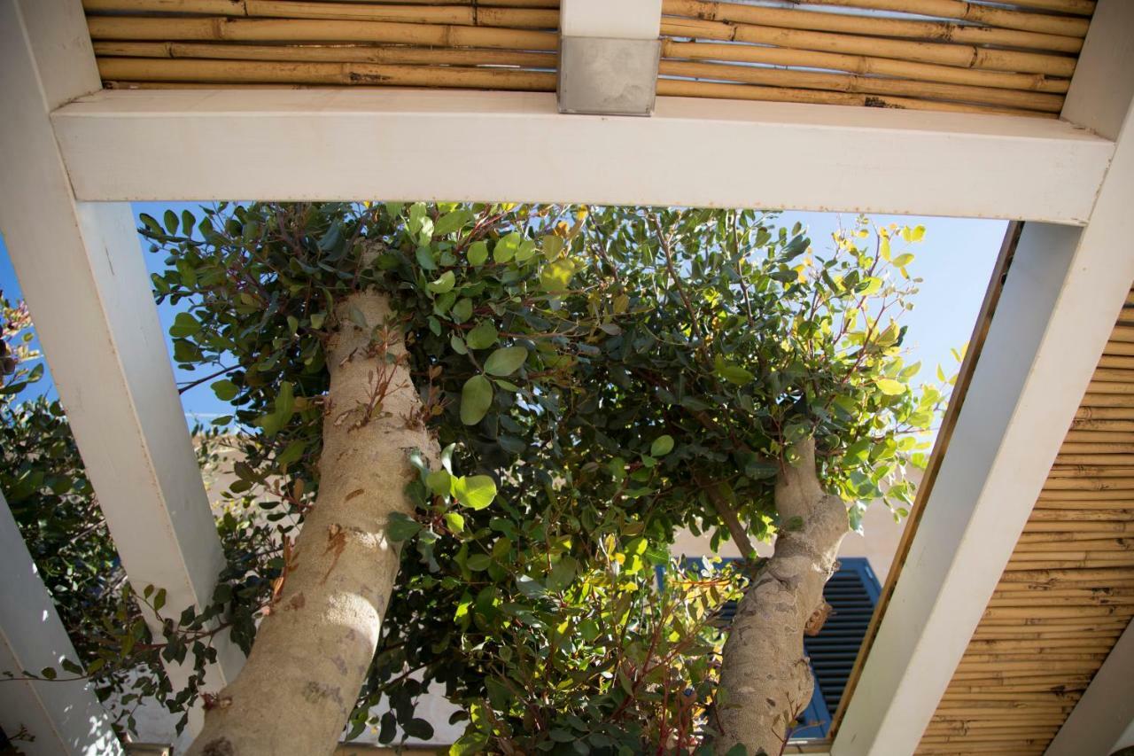 Le Suites Del Carrubo Favignana Ngoại thất bức ảnh